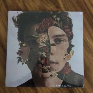 Shawn mendes record vynl